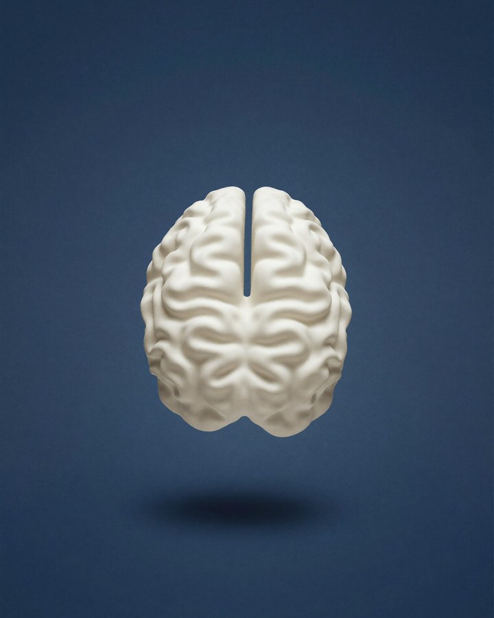 Cerebro de ceramica